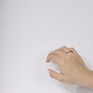 Anillo